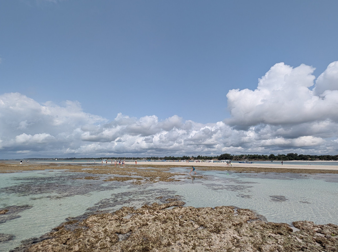 Galu tides tours and safaris-Galu Beach必去景点