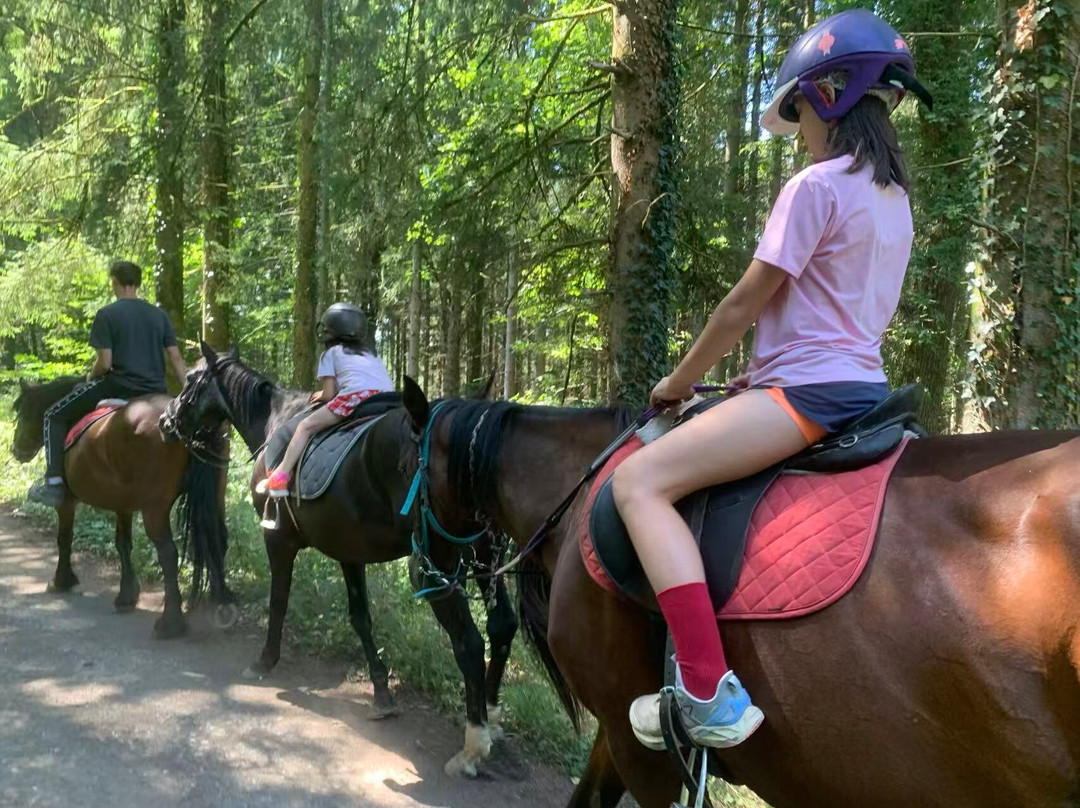 Ferme Equestre de la Croix Colas-Signy-le-Petit必去景点