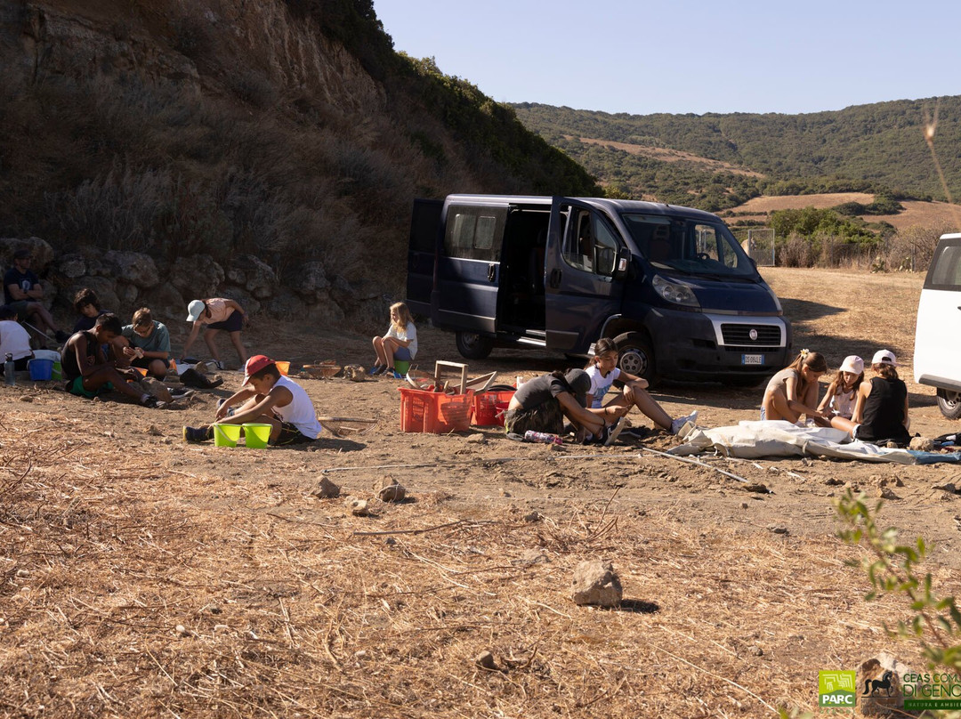 Museo Parc - Museo Paleontologico, Archeologico e Laboratorio didattico-Genoni必去景点