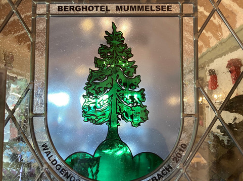 蒙梅尔湖山区酒店主图