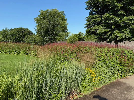 Le Jardin des Deux Rives-斯特拉斯堡必去景点