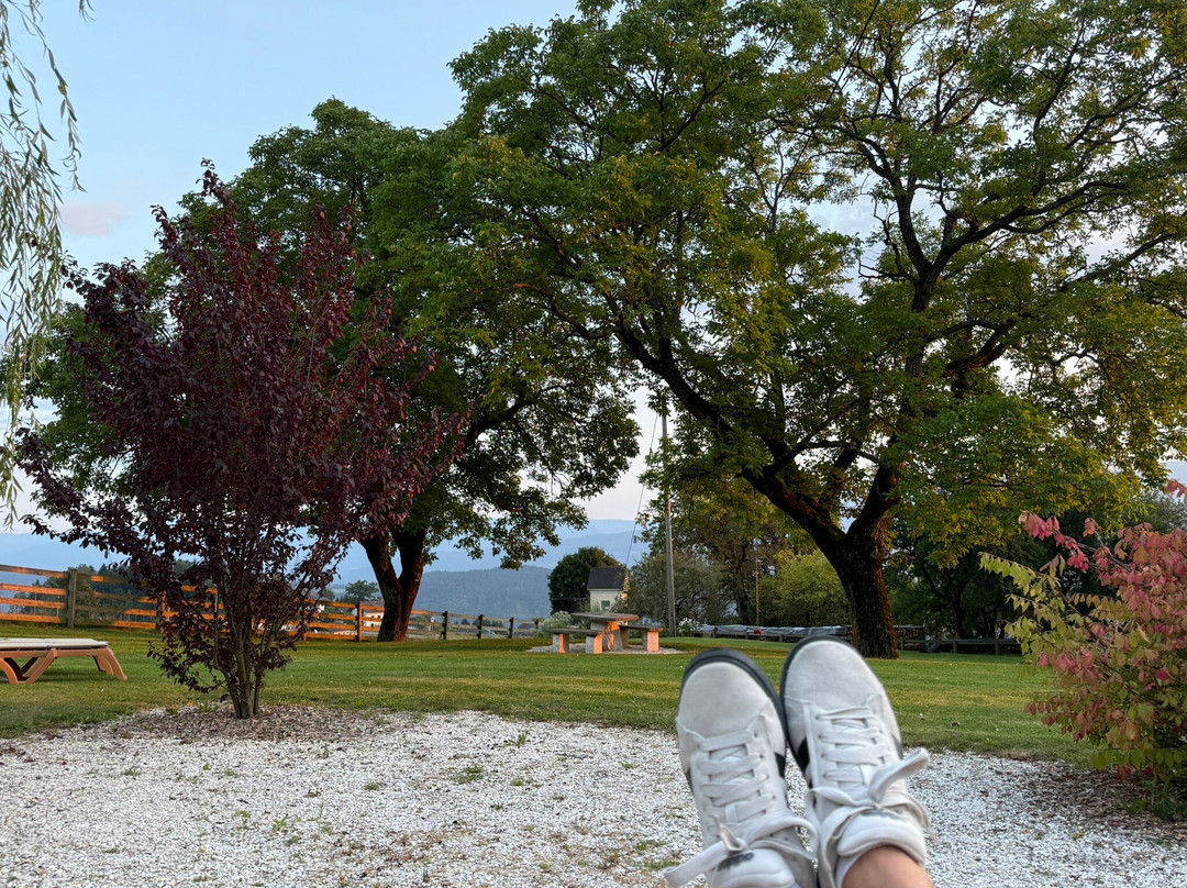 Grantsch酒店住宿-Hotel Berghof