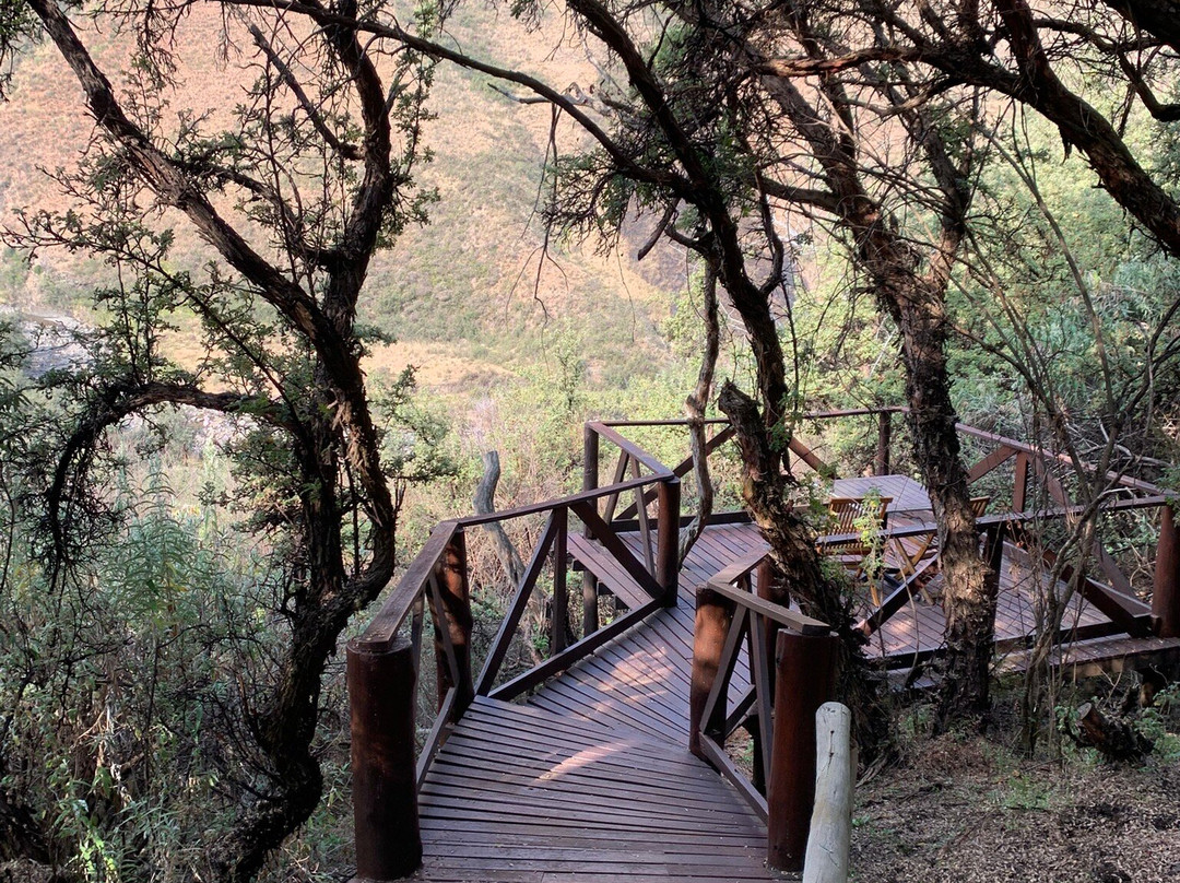 Maliba Lodge - Maliba River Lodge主图