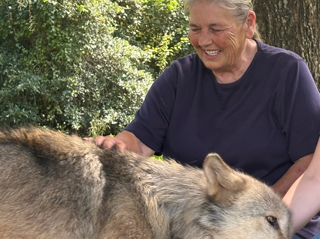 Seacrest Wolf Preserve-Chipley必去景点