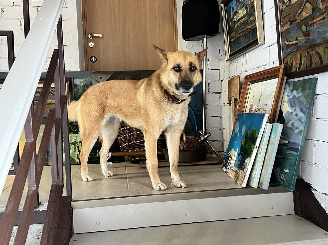 Olgi Kuznetsovoi Gallery-佩列斯拉夫尔-扎列斯基必去景点