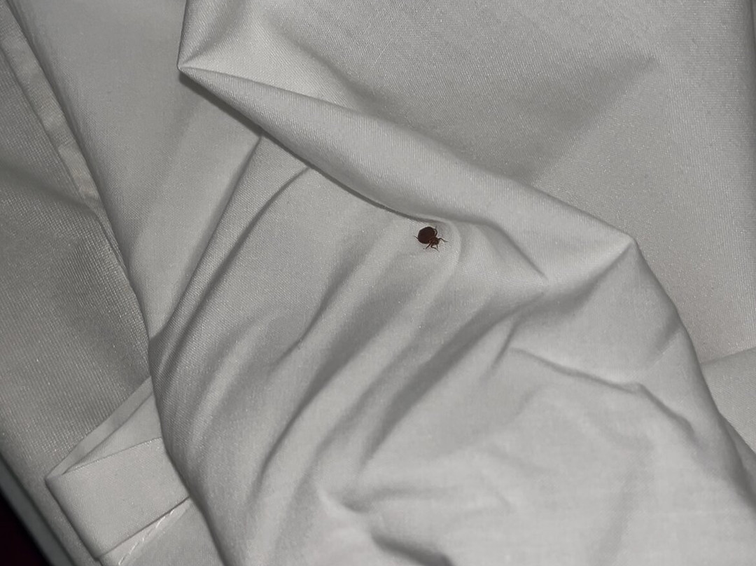 Namaste Palace Hotel主图