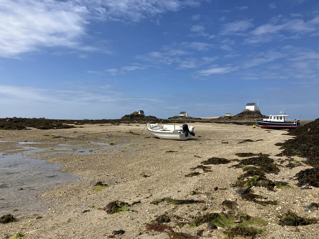 Island RIB Voyages-St Catherine's必去景点