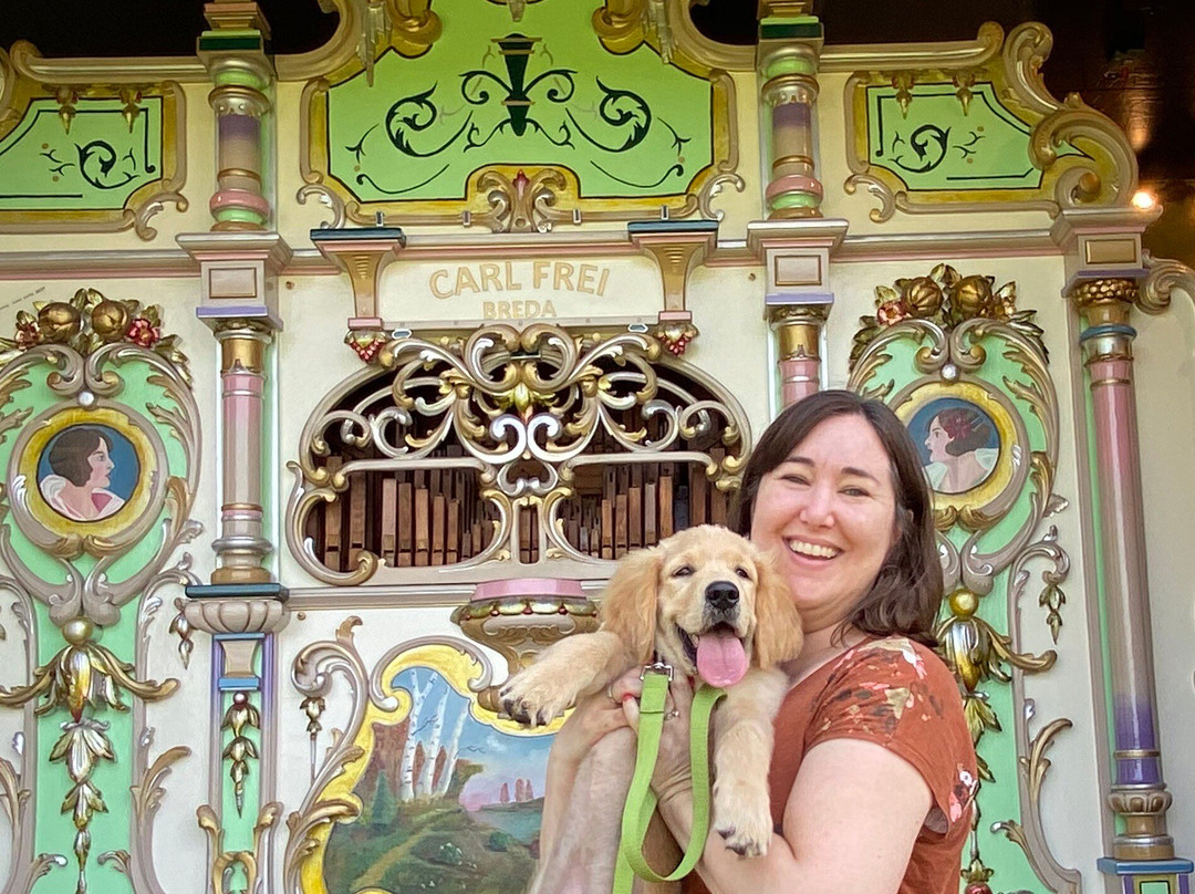 风车岛花园-荷兰村必去景点