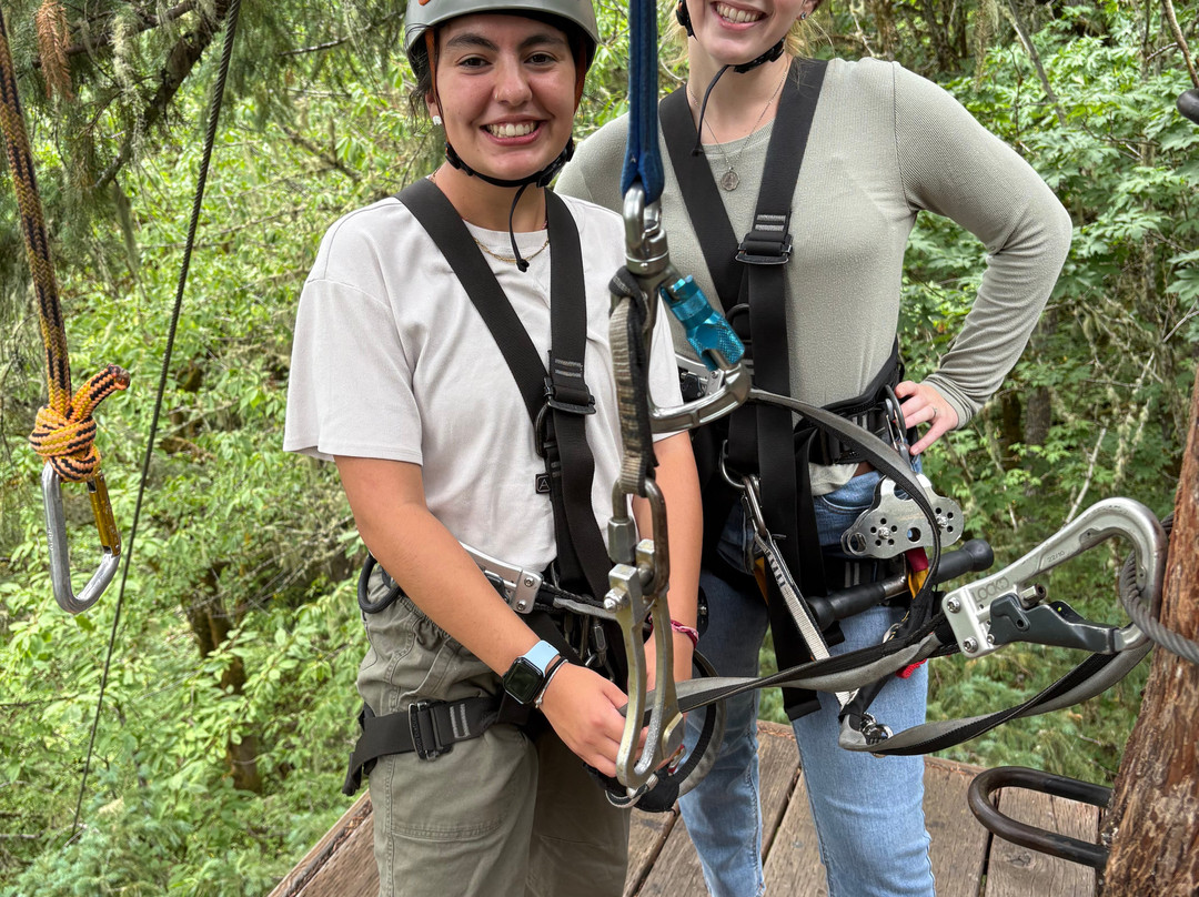 Tree to Tree Adventure Park-Gaston必去景点