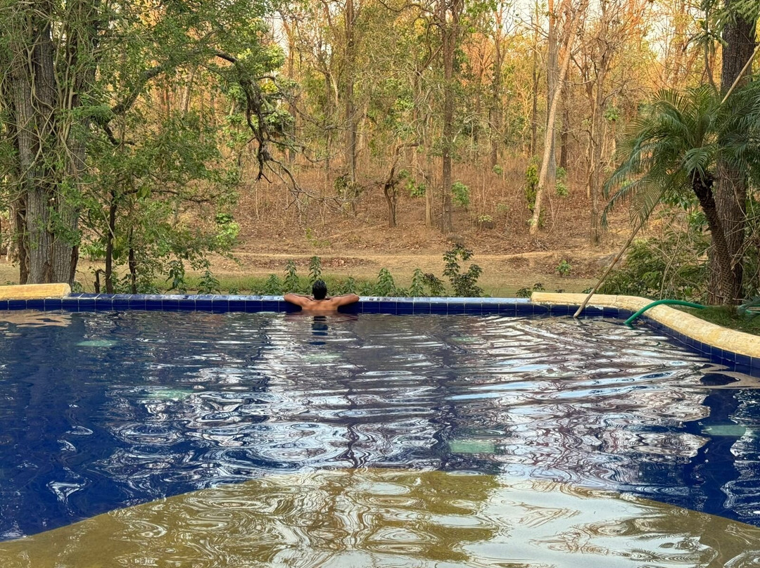 Tuli Tiger Resort主图