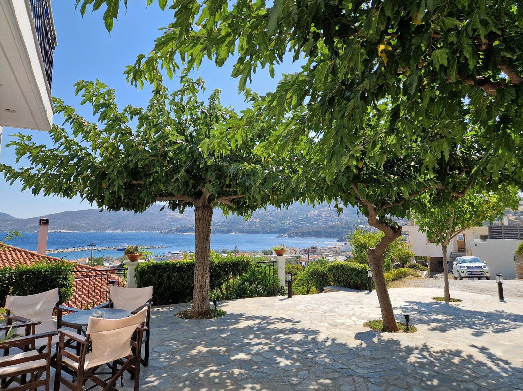 Triantafilia Guesthouse主图