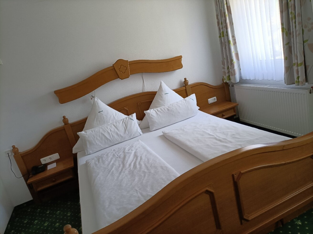 格林贝格尔酒店主图