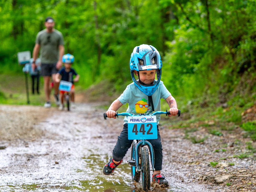 Coler Mountain Bike Preserve-本顿维尔必去景点