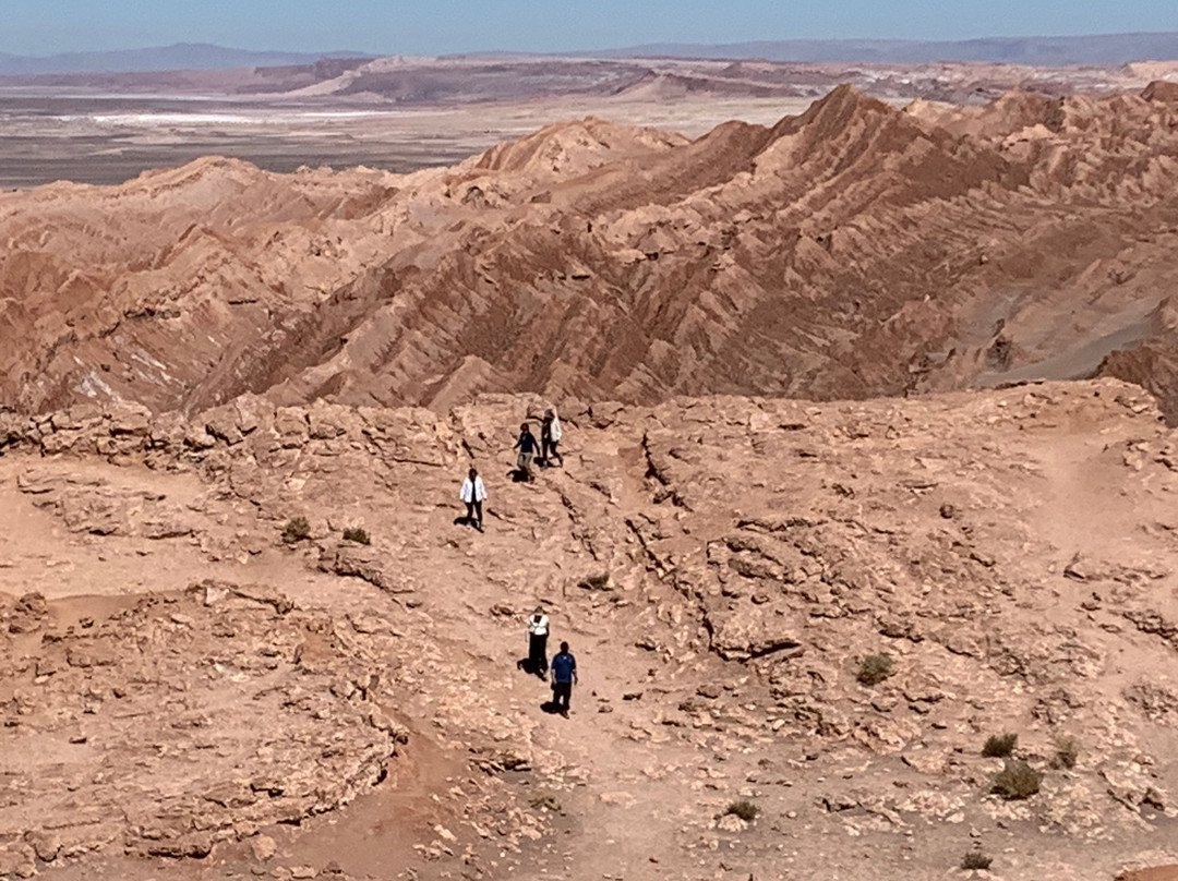 Awasi Atacama - Relais & Chateaux主图