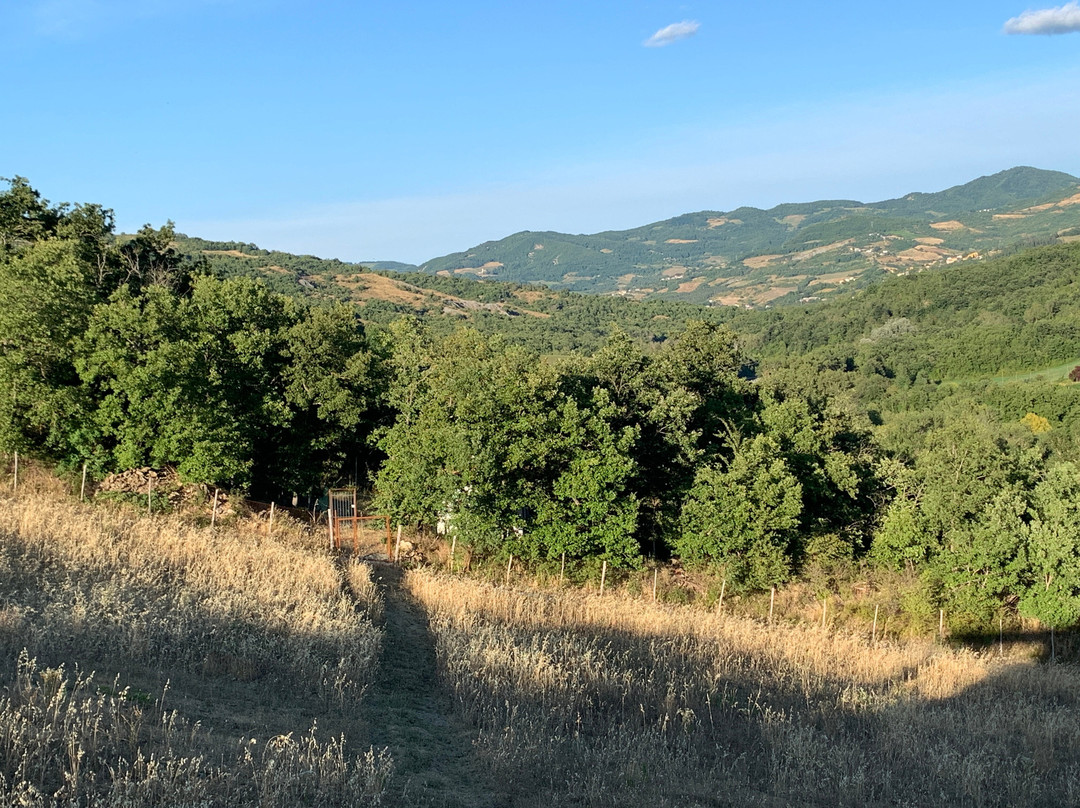 Ca Del Sartu Agriturismo主图