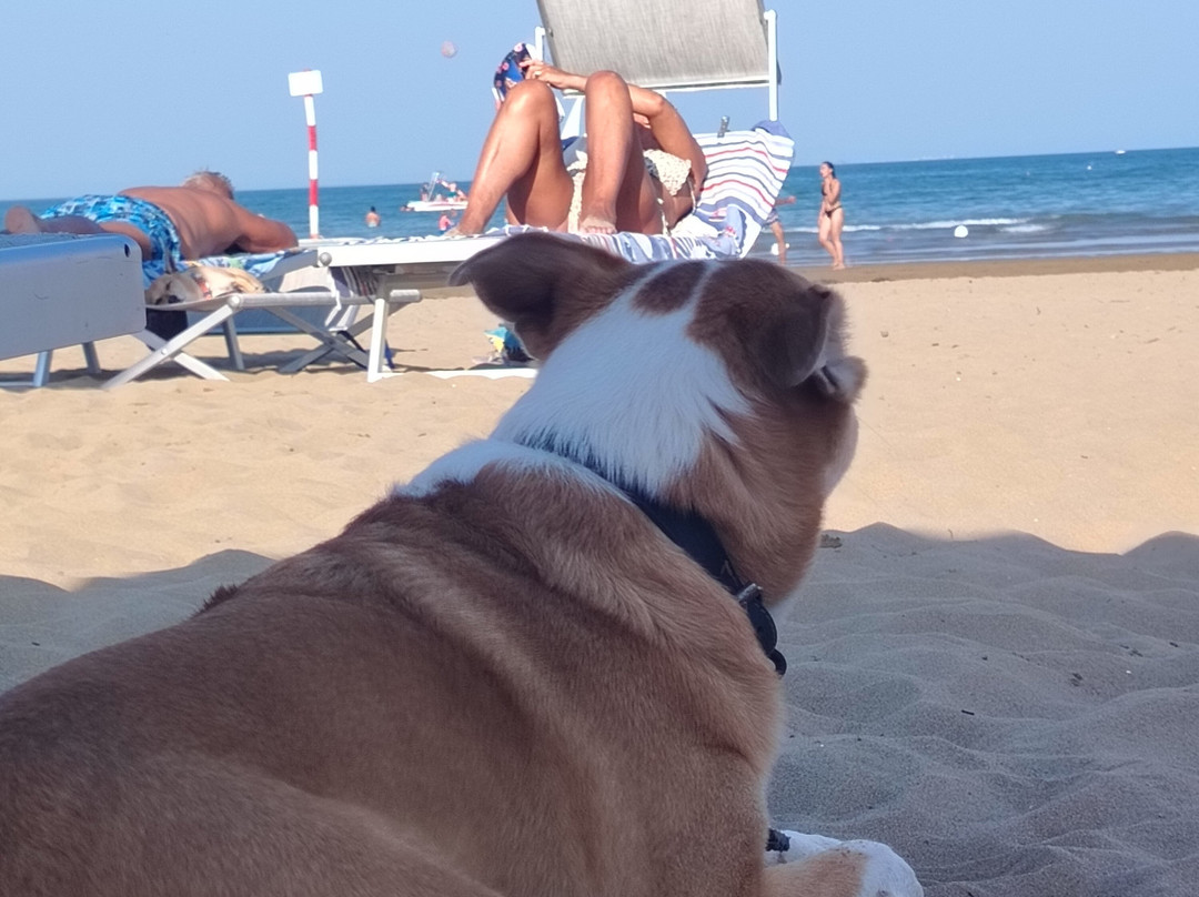 La spiaggia di Duke-利尼亚诺萨比亚多罗必去景点