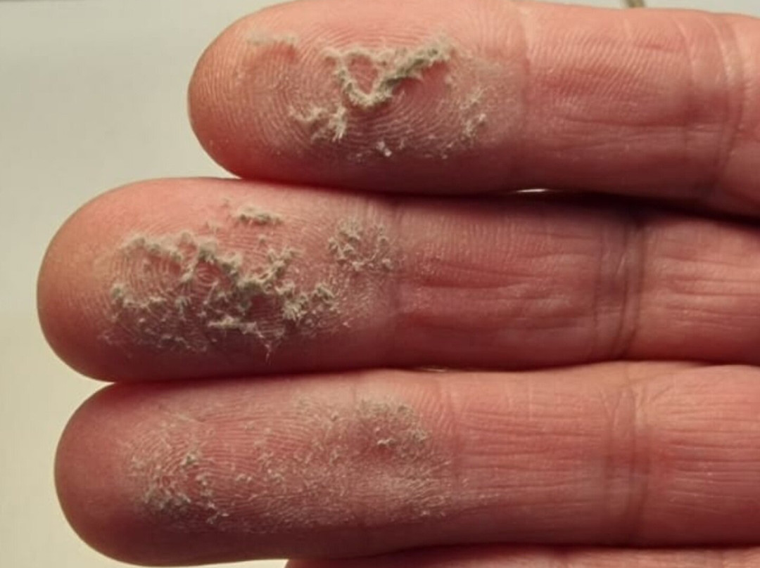 Palma Wellness Hotel主图