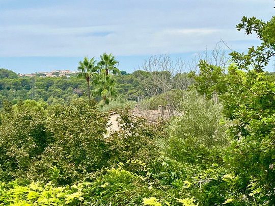 Spa Royal Mougins-穆然必去景点