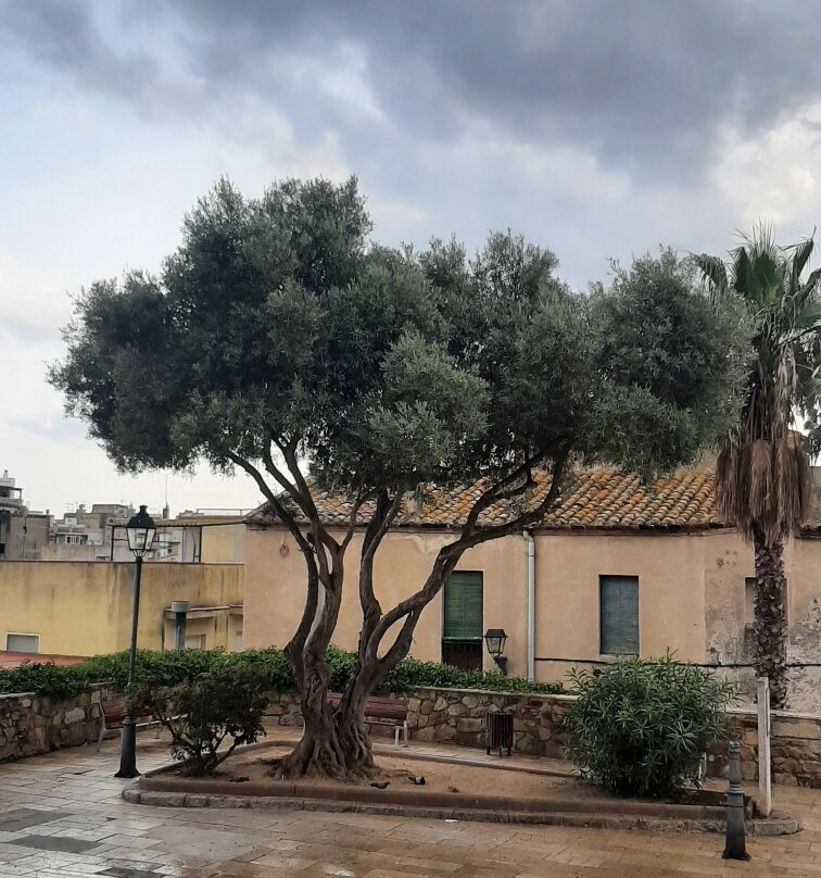 Santa Maria De Blanes-布拉内斯必去景点