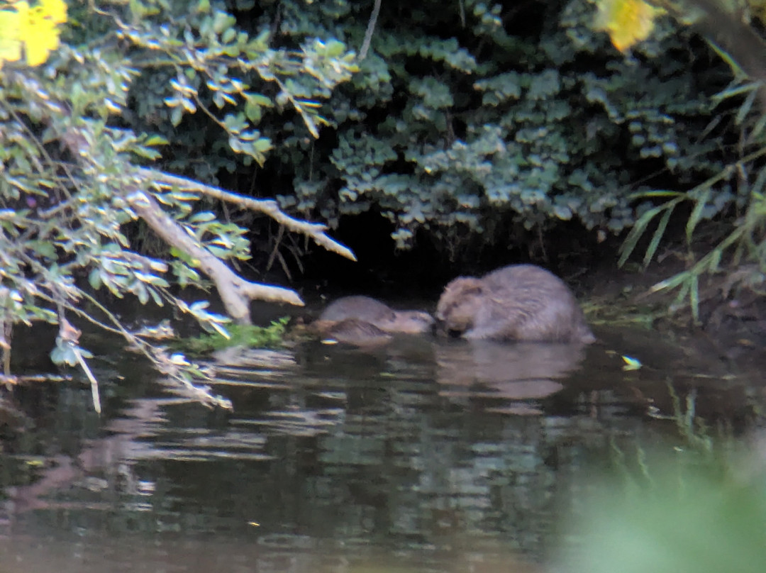 Perthshire Wildlife-Blairgowrie必去景点