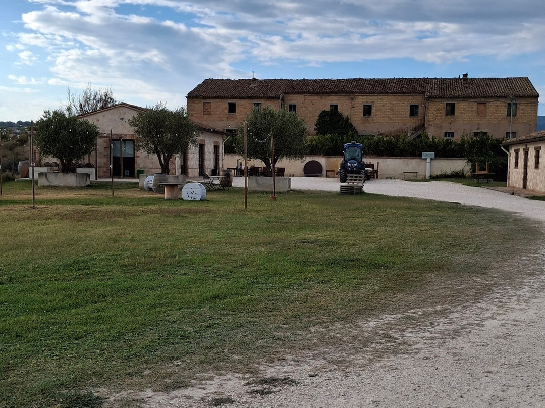 Conte Leopardi Wines-努马纳必去景点