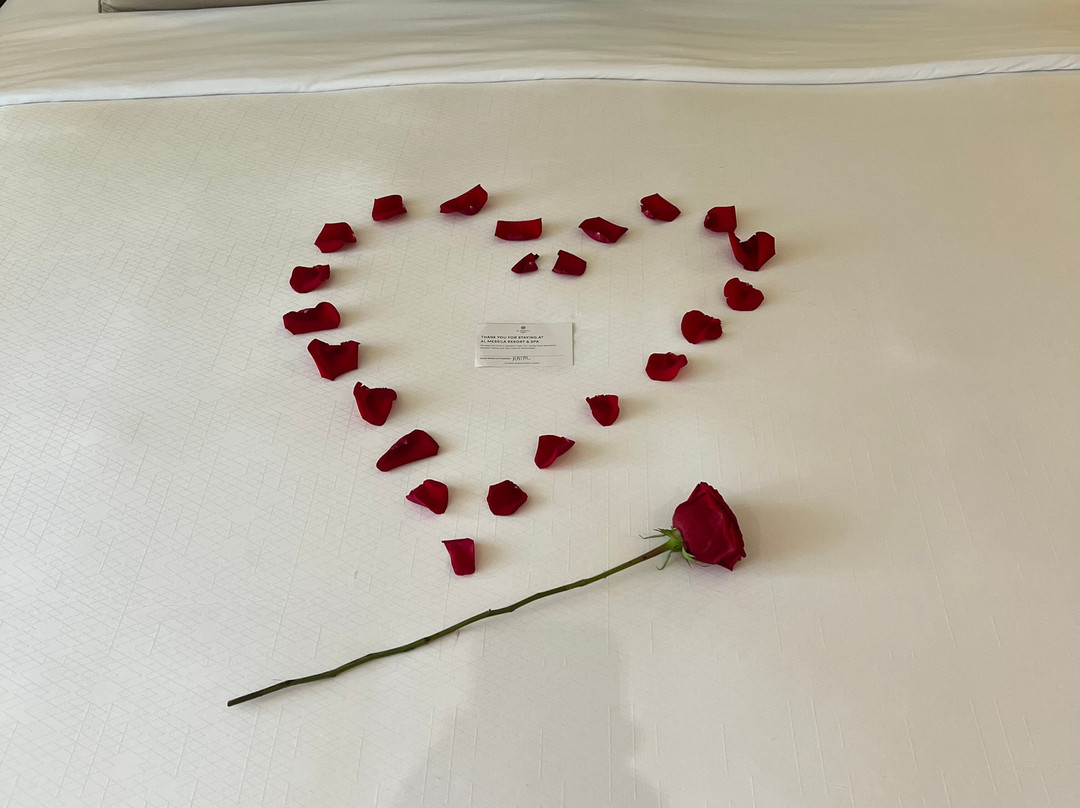 Al Messila, A Luxury Collection Resort & Spa, Doha主图