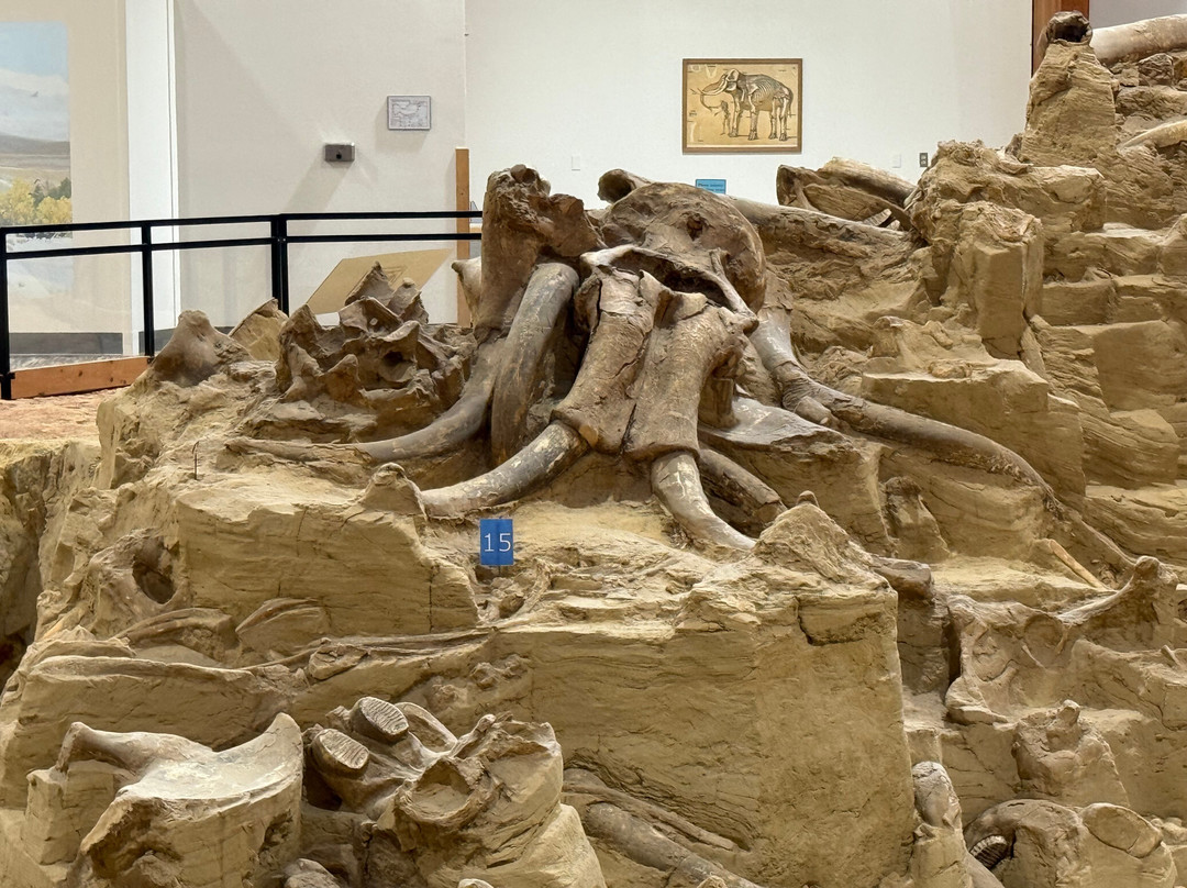 The Mammoth Site of Hot Springs-温泉城必去景点