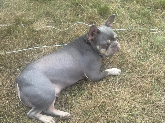 Commonwood Fishery-Holt必去景点