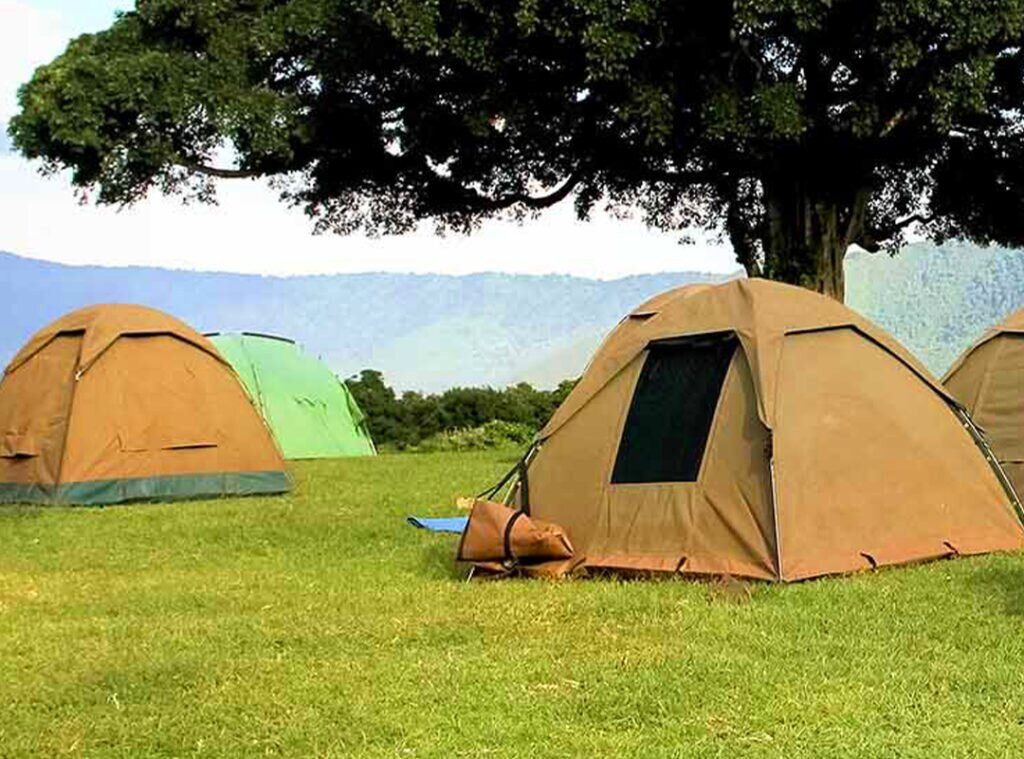 Stepclimb Adventures-莫西必去景点