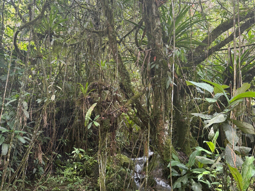 Esmeralda Ecotours San Rafael-San Rafael必去景点