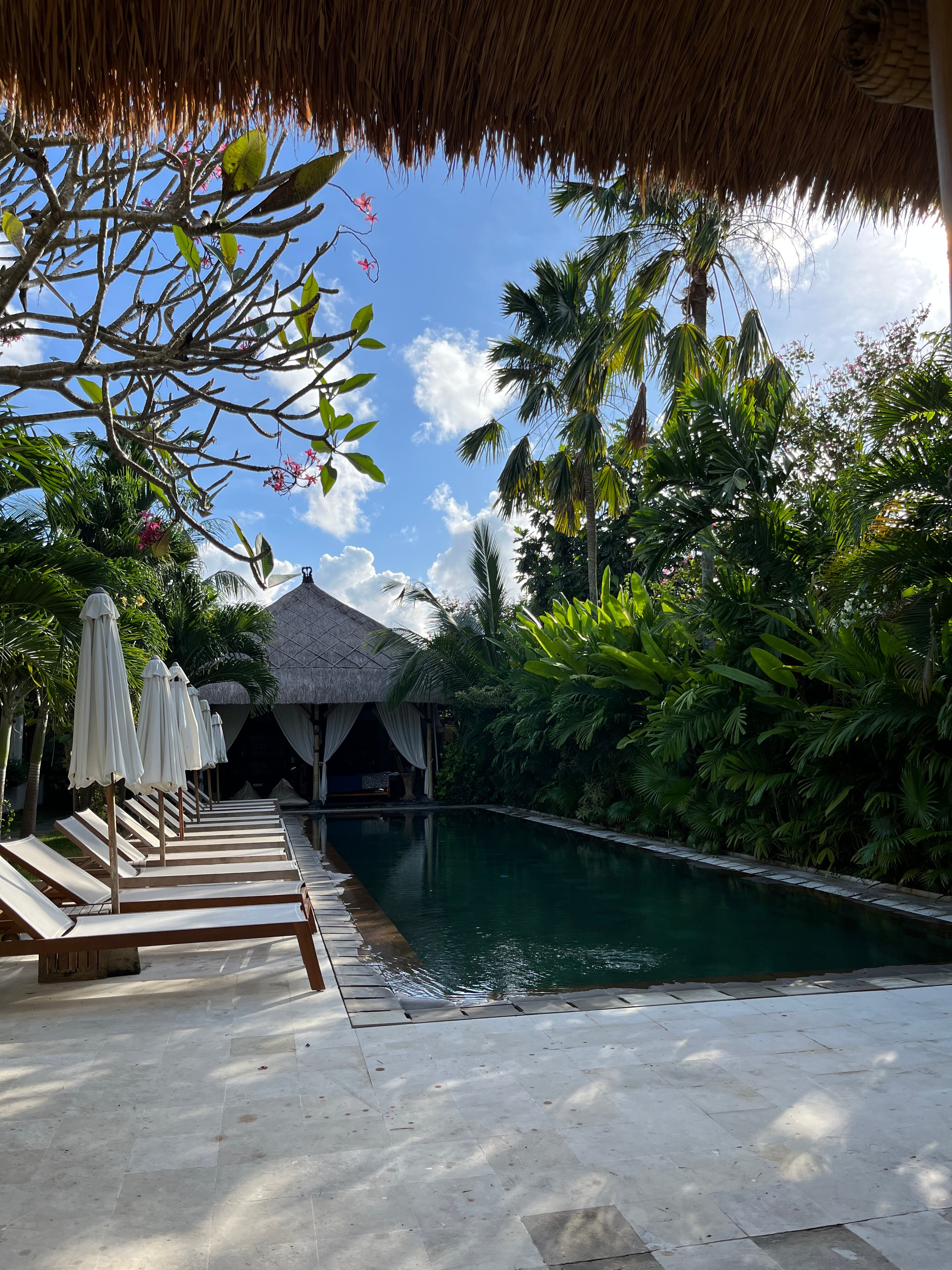 The Open House Bali-官方