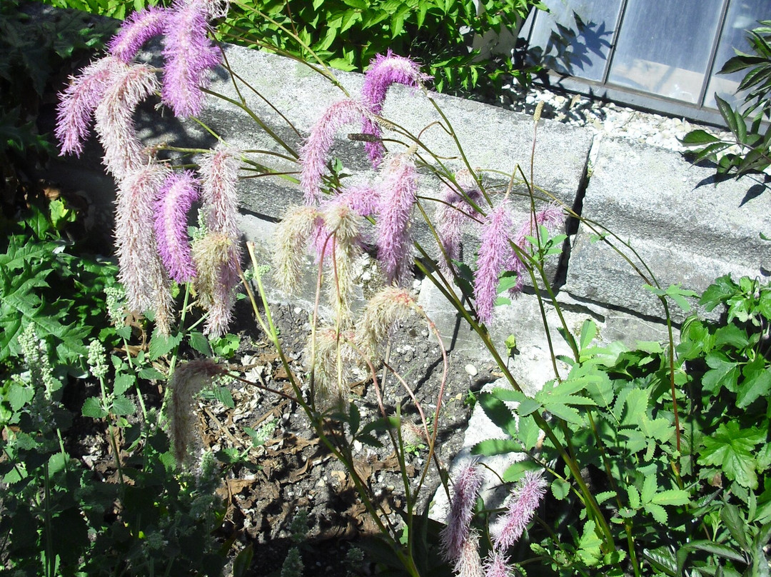 Klostergarten-Maria Schmolln必去景点