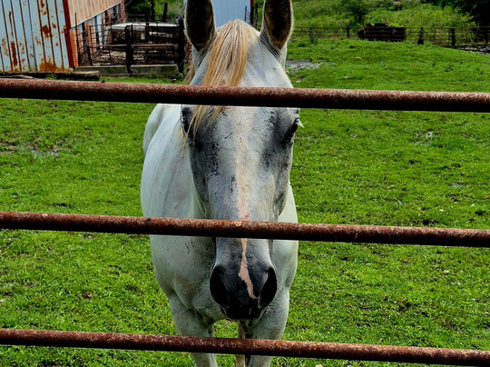 Sharon Bluffs state park-Centerville必去景点