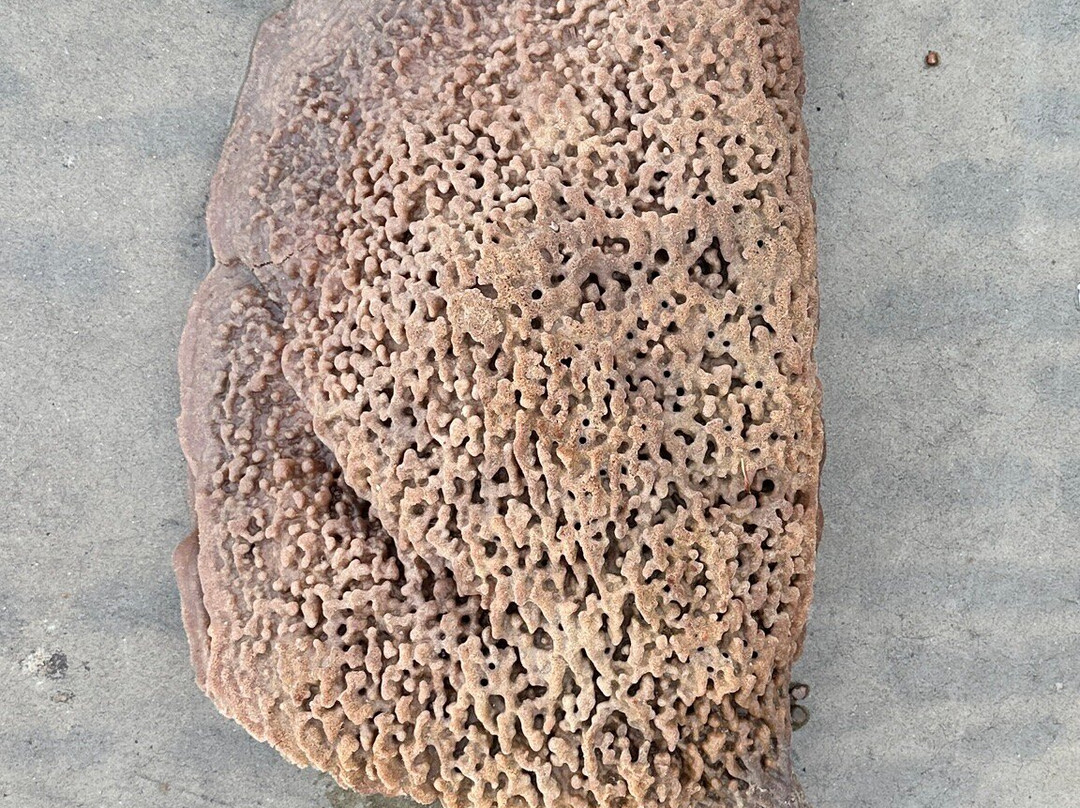 Boat Harbour Beach-温耶德必去景点