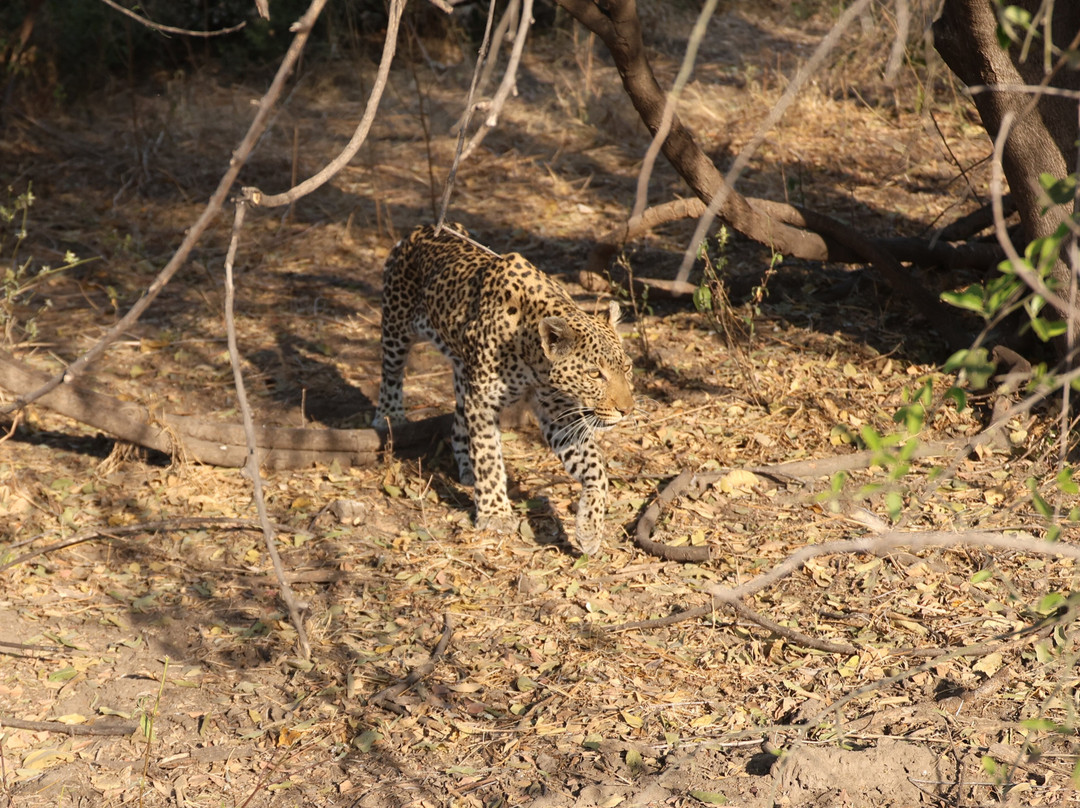 Kalahari Tours-Kazungula必去景点