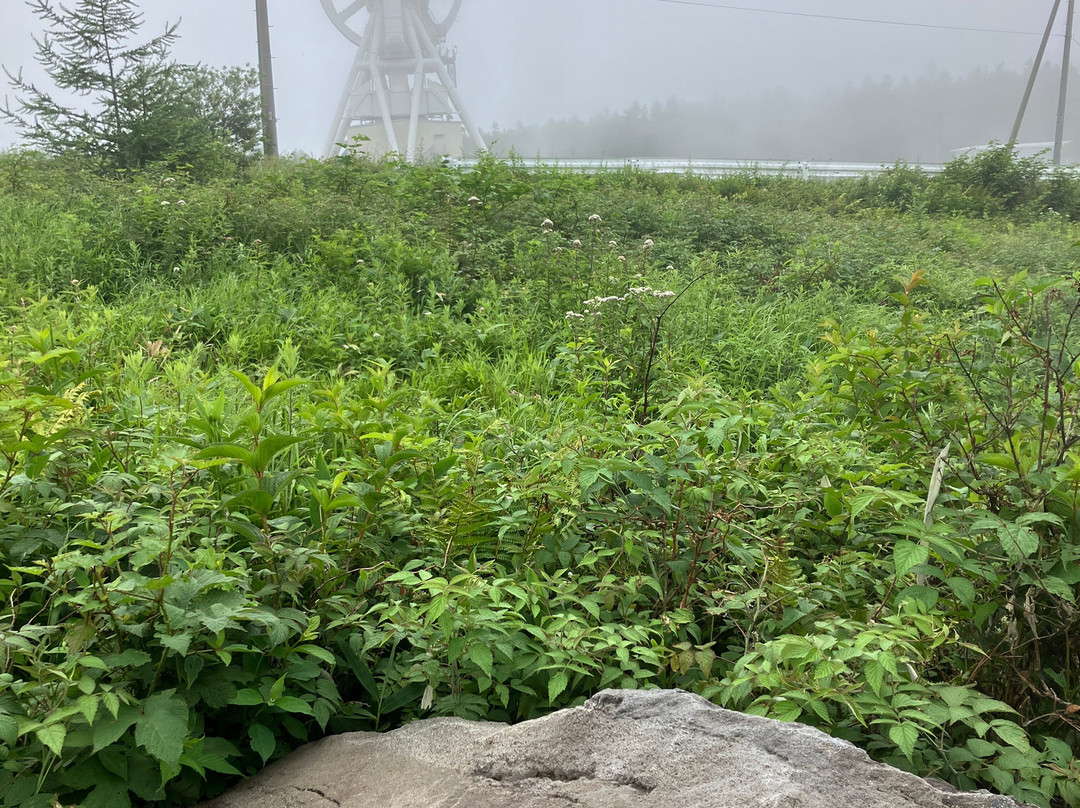 Ground Station for Deep Space Exploration And Telecommunication-佐久市必去景点