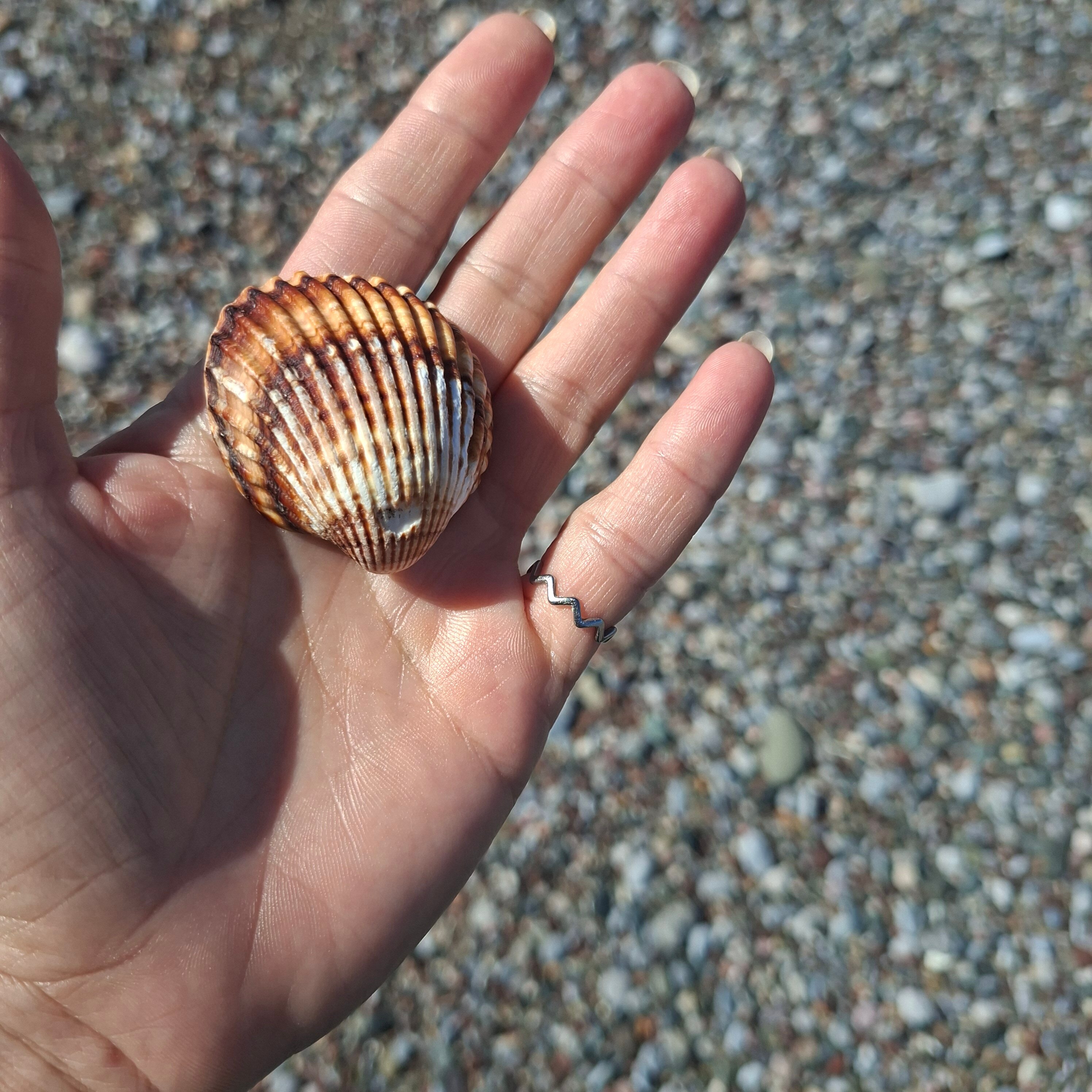 Club Agia Anna-官方