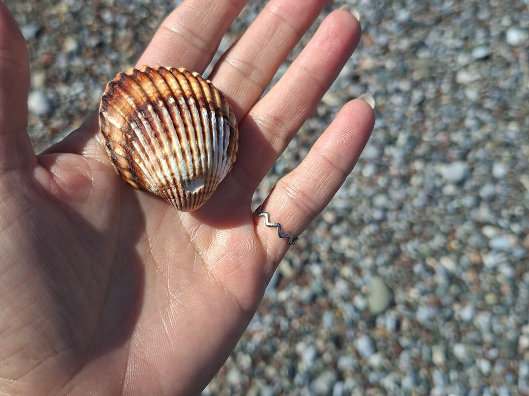 Club Agia Anna主图