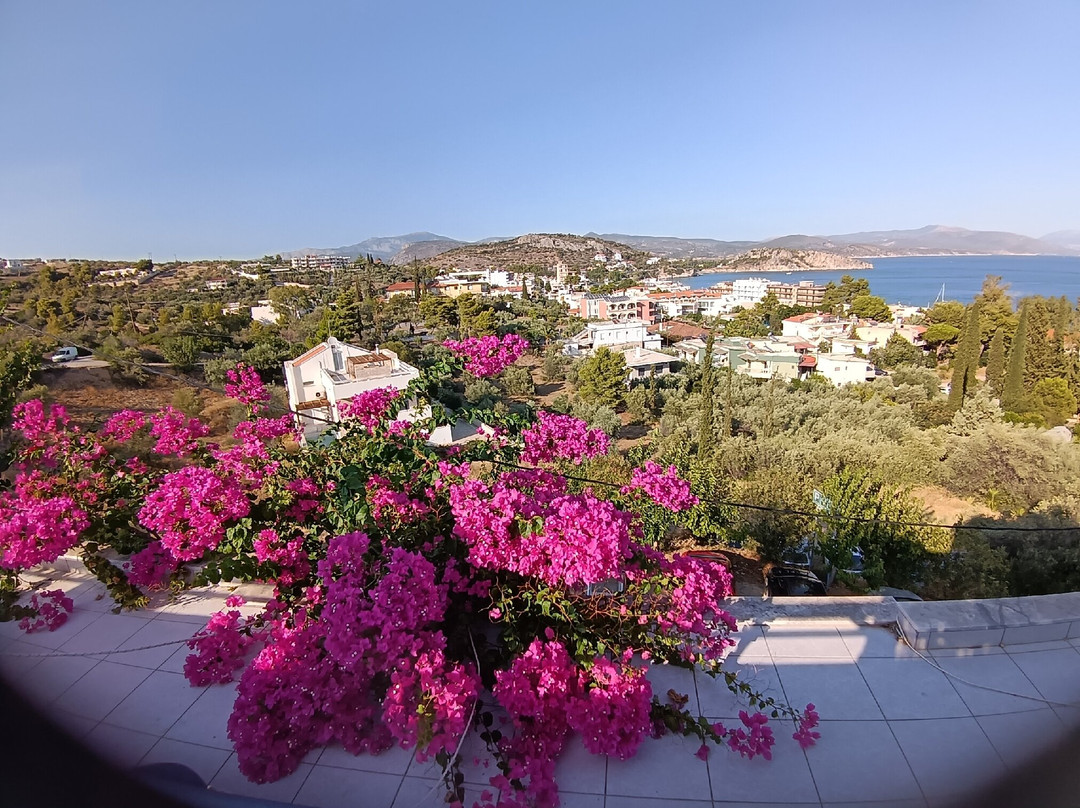 海里奥特珀斯公寓酒店主图