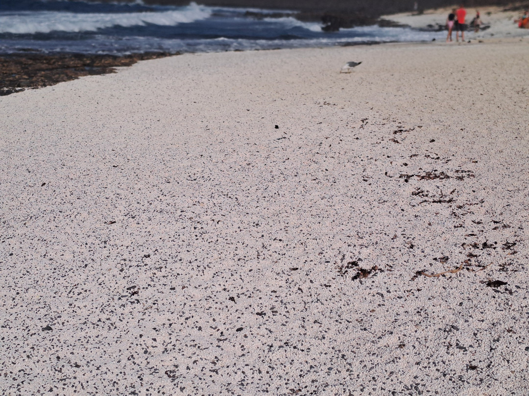 Playa del Mejillón-科拉雷侯必去景点