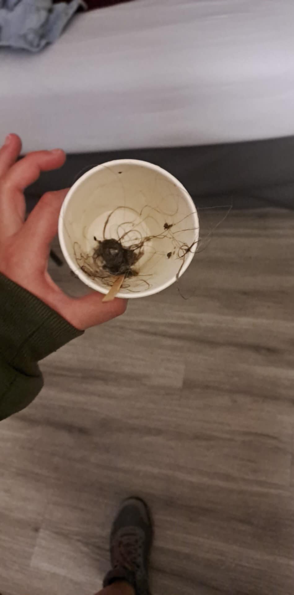 Hotel de la Saulaie-浴室