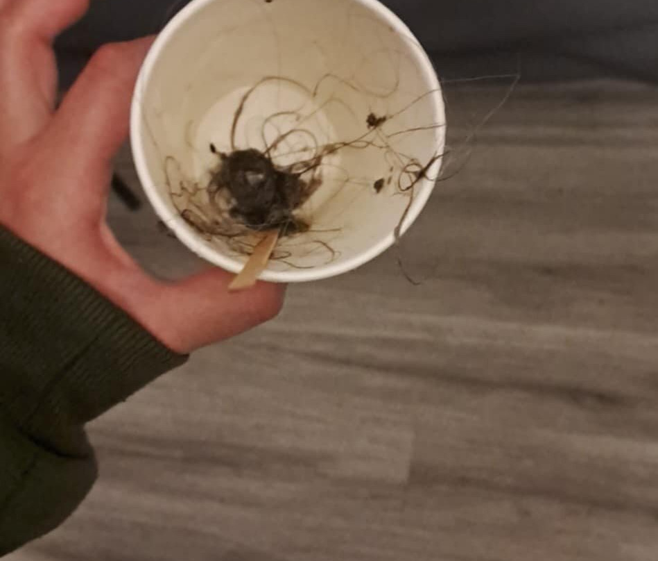 Hotel de la Saulaie主图