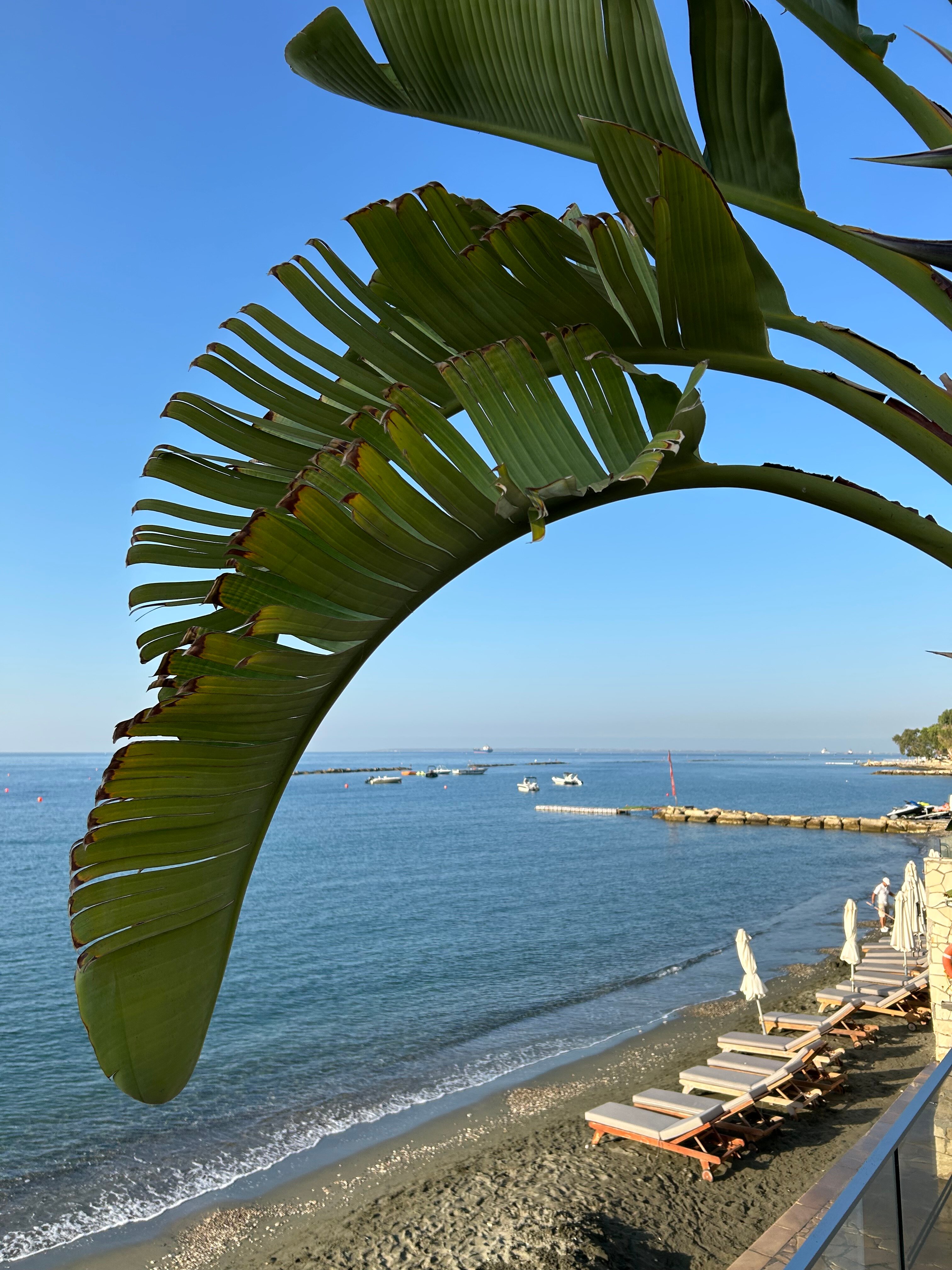 Royal Apollonia-泳池