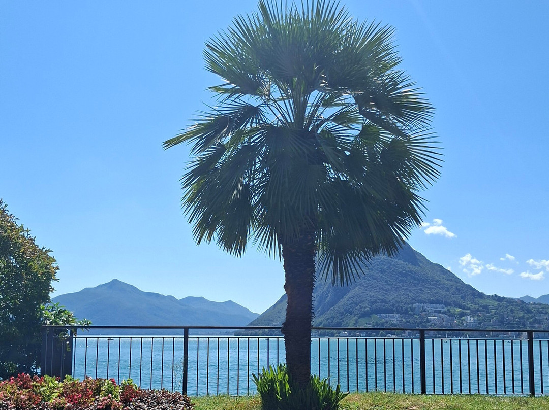 Boat Center Palace Lugano-卢加诺必去景点