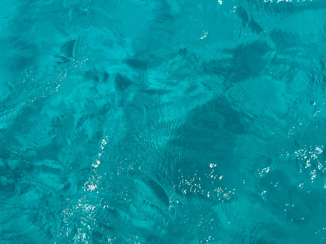 Mykonos Eleftheriou Yachting-卡拉法蒂斯必去景点