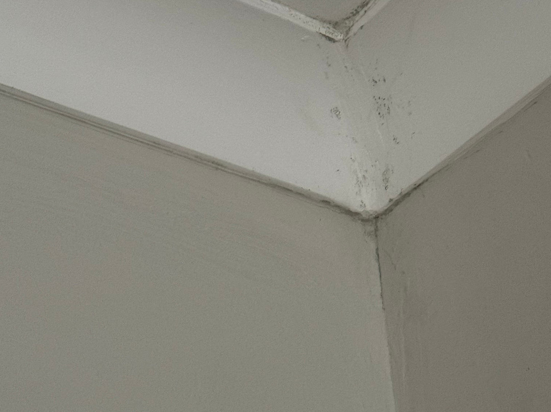 Qawra Palace Resort & Spa主图