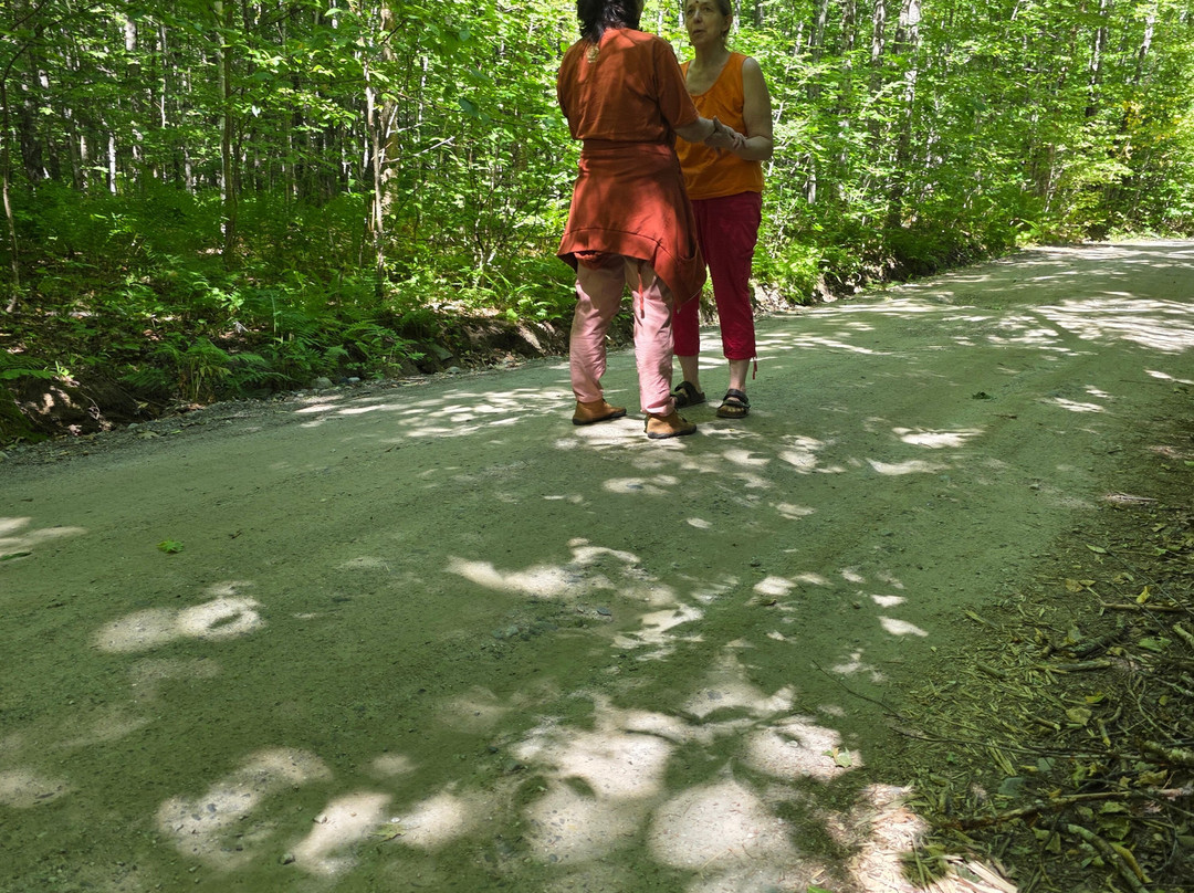 Sat Manav Yoga Ashram