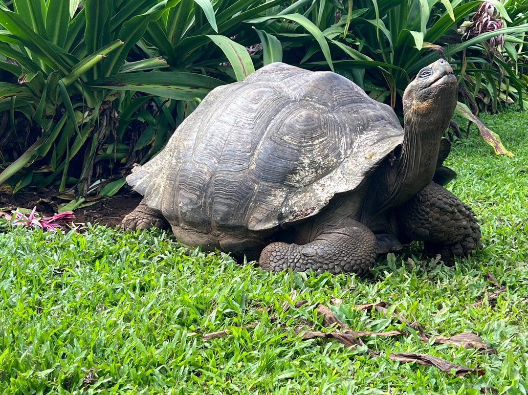 瑟米拉维尔德精品酒店主图