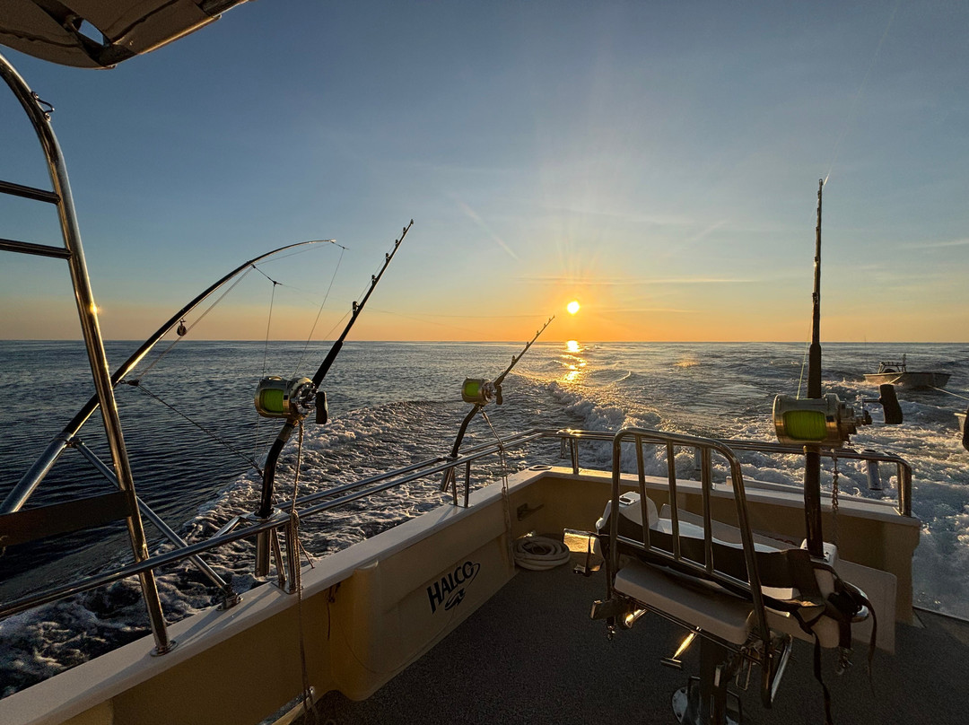 Reel Teaser Fishing Adventures-布鲁姆必去景点