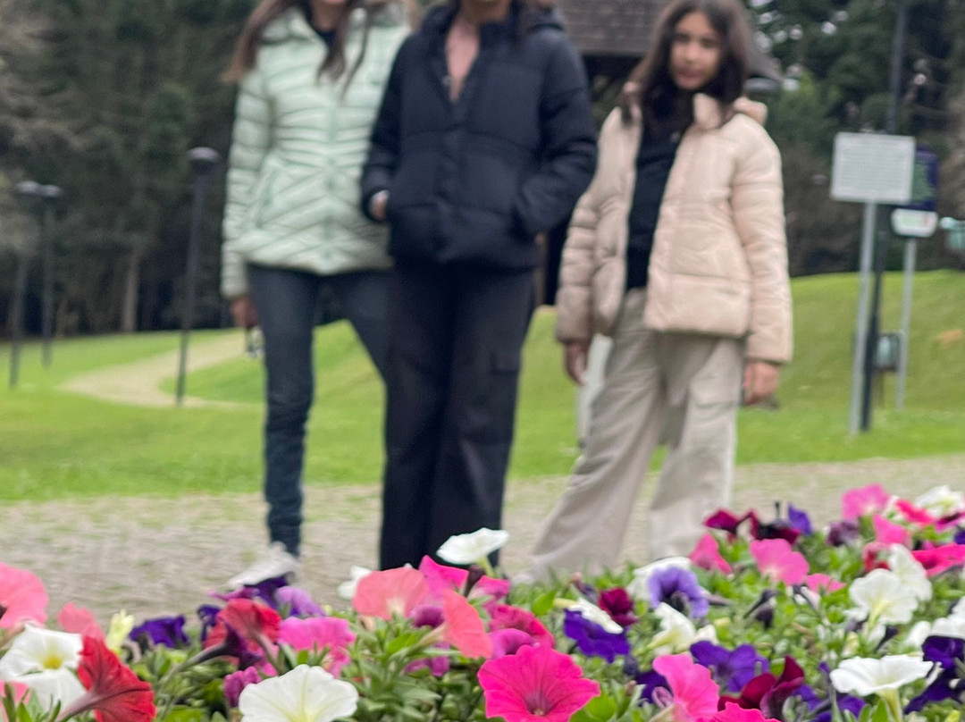 Parque Tingui-库里提巴必去景点